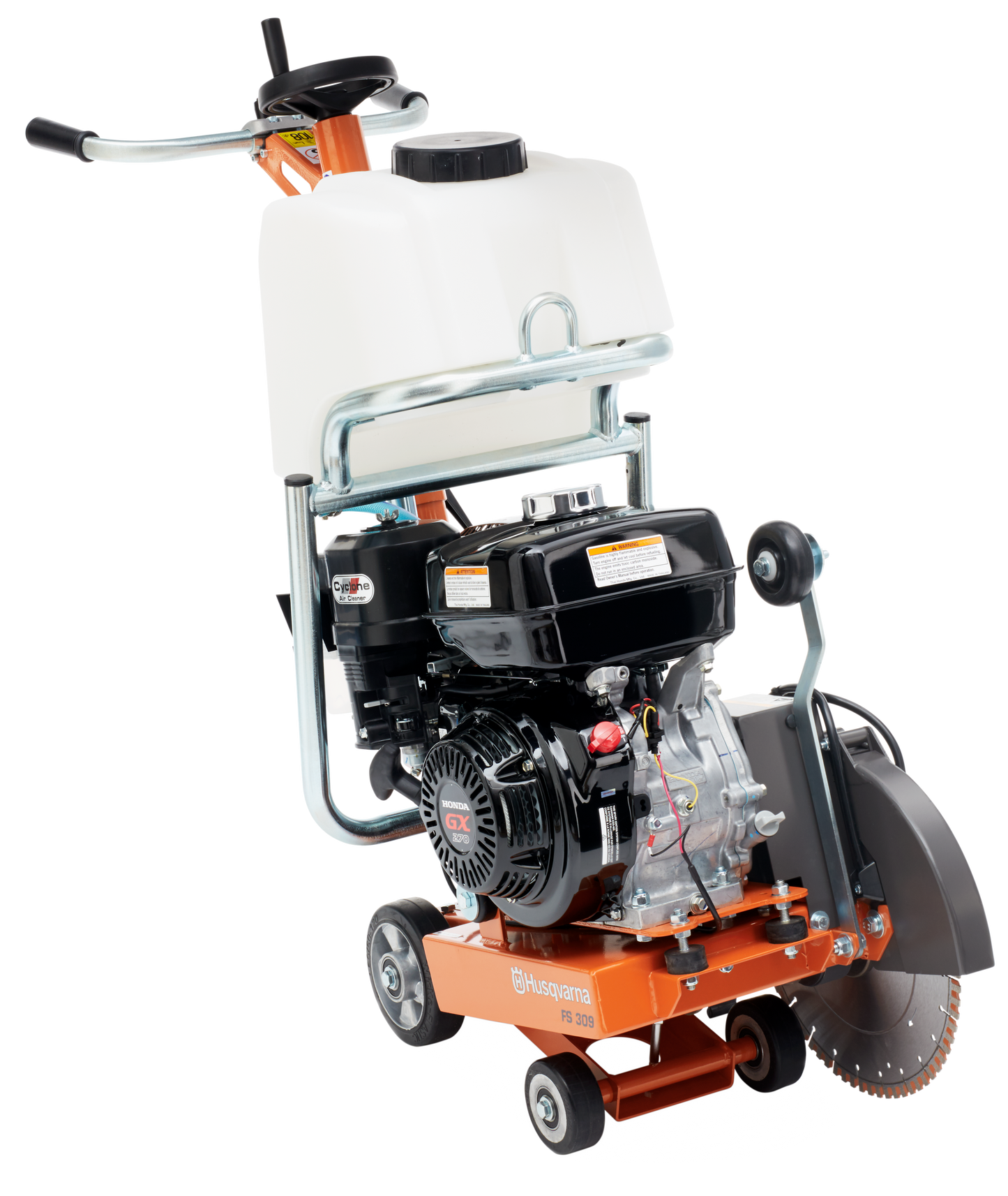 FS 309